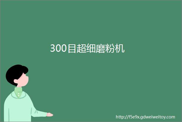 300目超细磨粉机